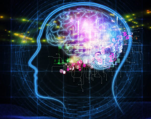 brain20
